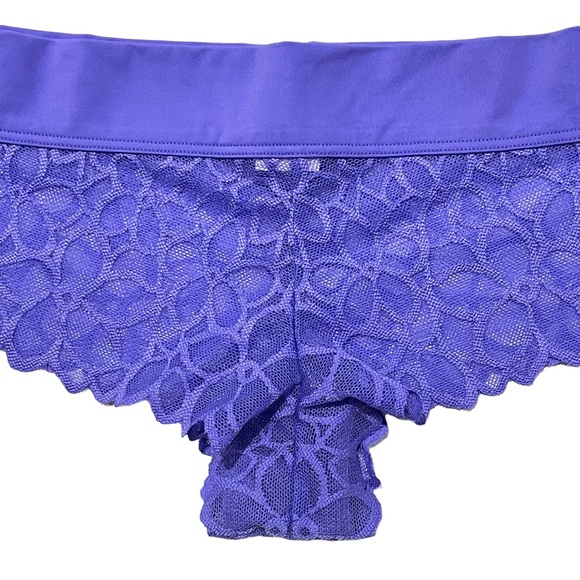 VS PINK 2016 Vintage Extra Low Rise Cheekster Semi-sheer Mesh Floral Print Panty - Picture 3 of 16